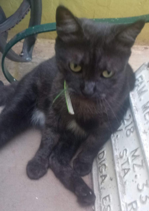 Salem