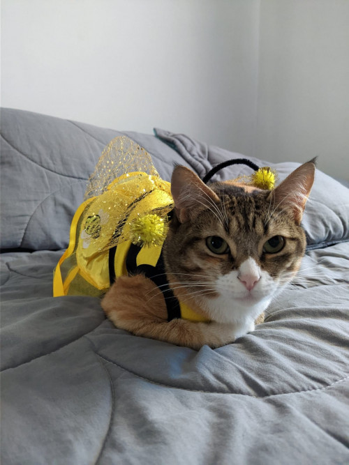 Zoe