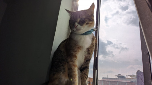 Zoe