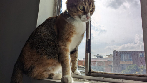 Zoe