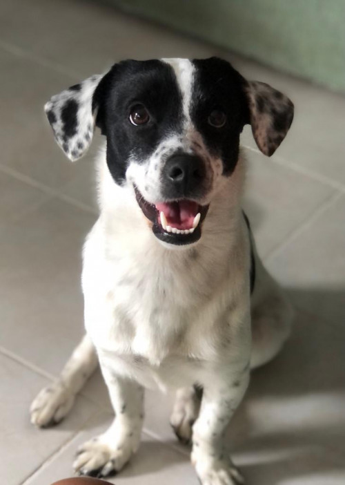 Max