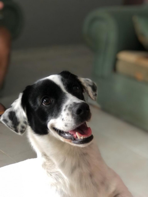 Max