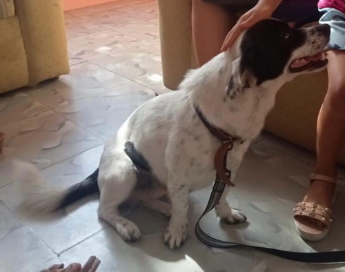 Max