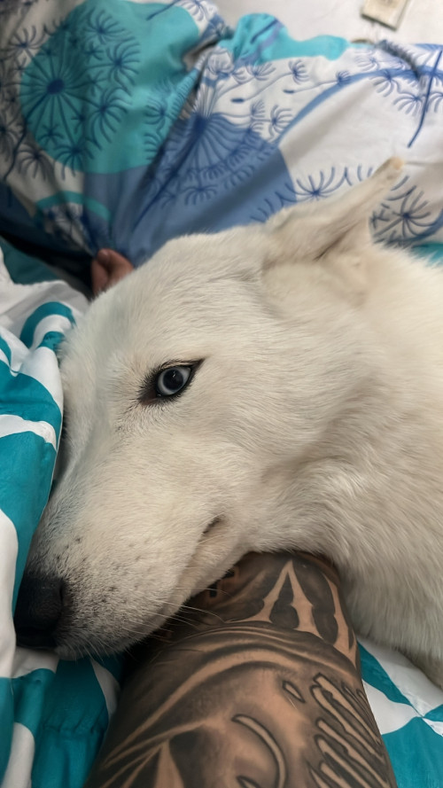 Alaska