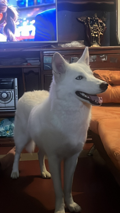 Alaska