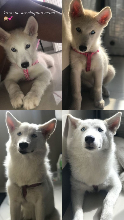 Alaska
