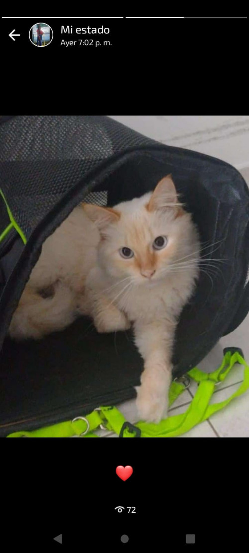 Nala