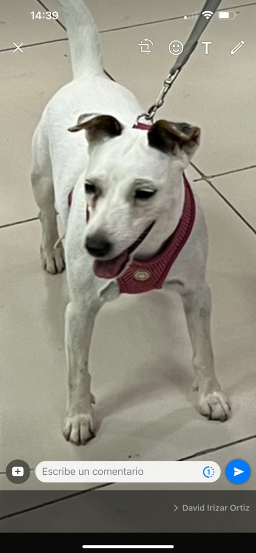 Mica