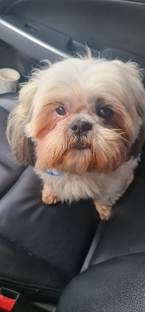 Zeus