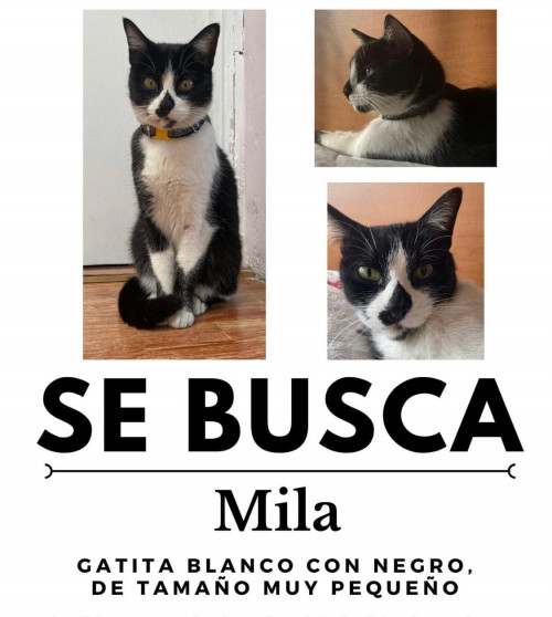 Mila