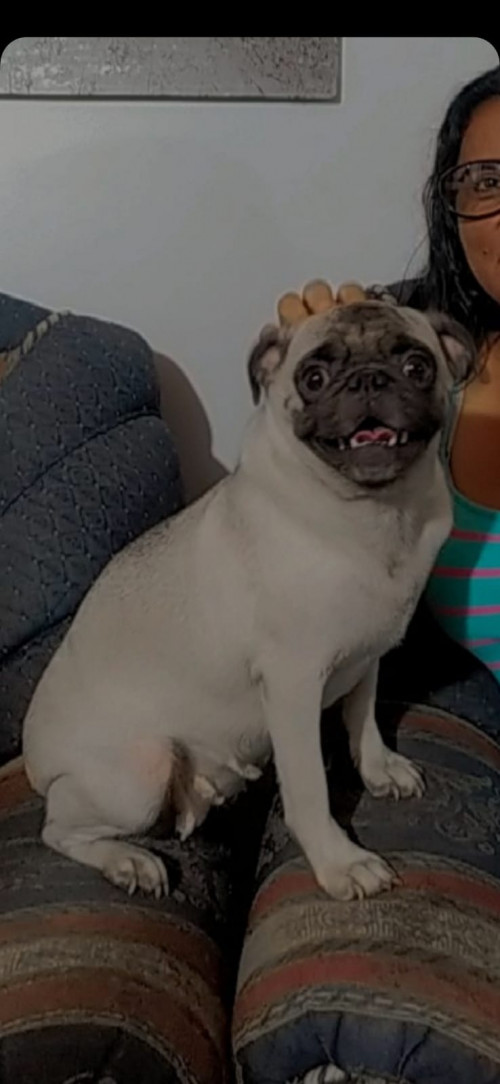 Maya