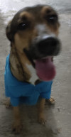 Foto de Violet en Benito Juárez Quintana Roo #1