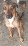 Foto de Violet en Benito Juárez Quintana Roo #0