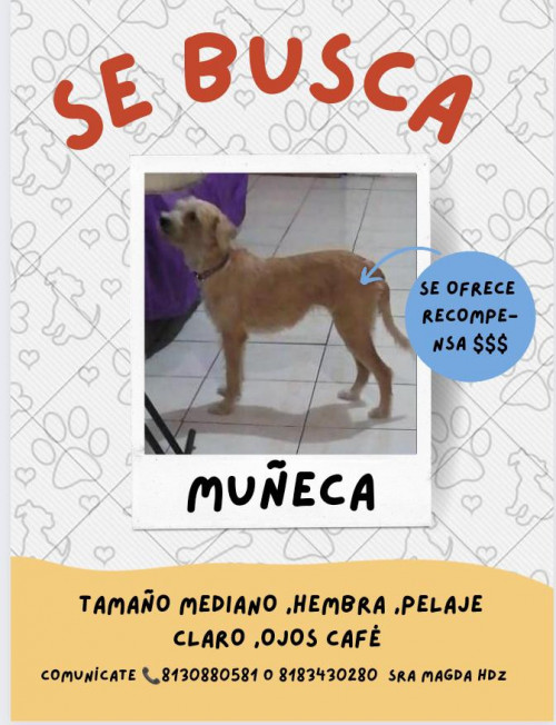 Muñeca
