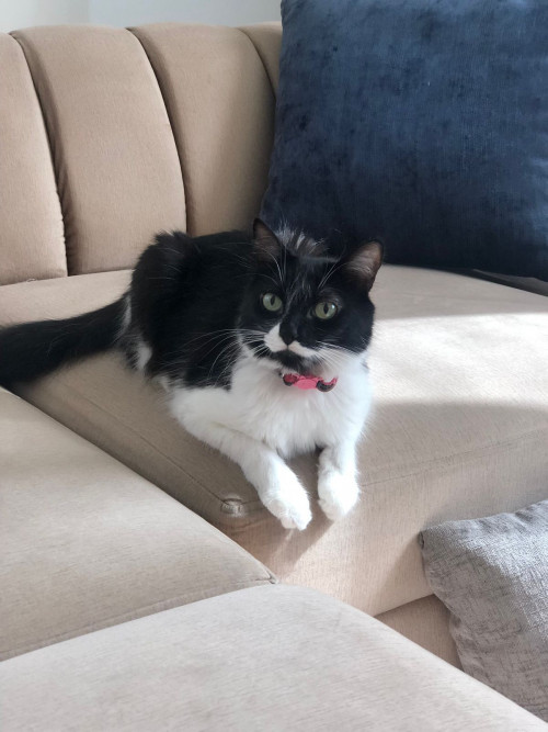 Olivia