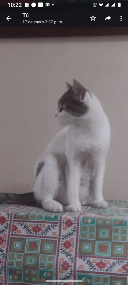 Luna