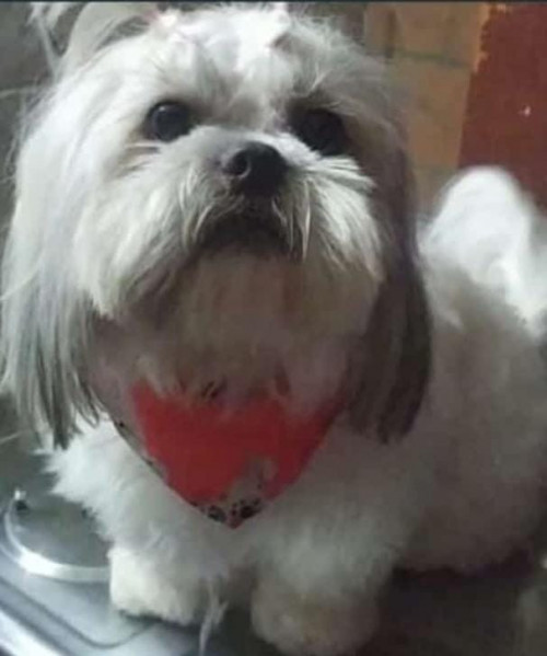 Princesa