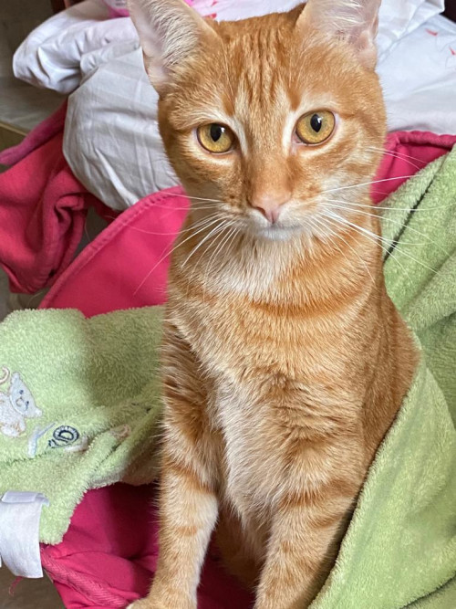 Chloe