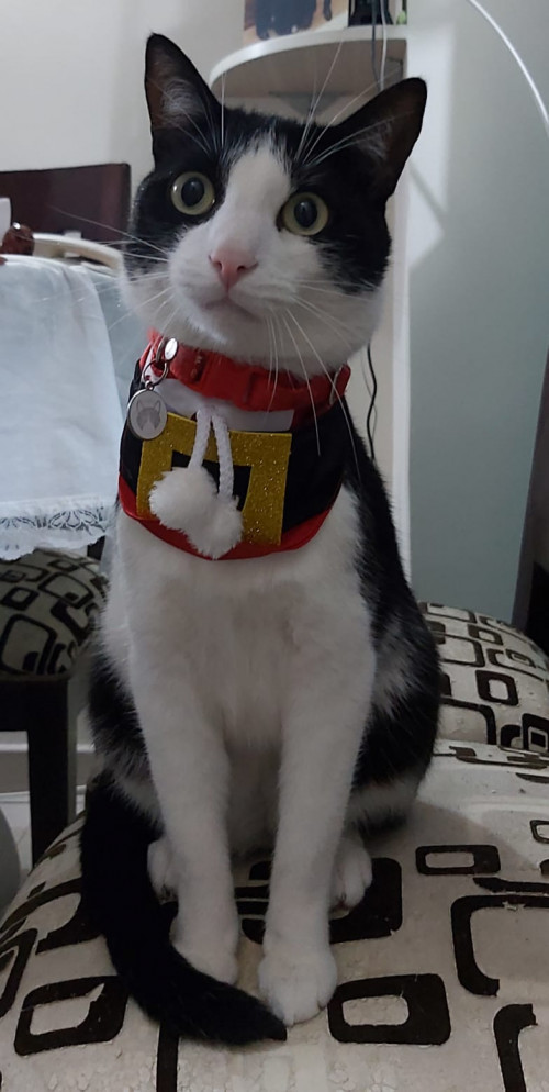 Loky