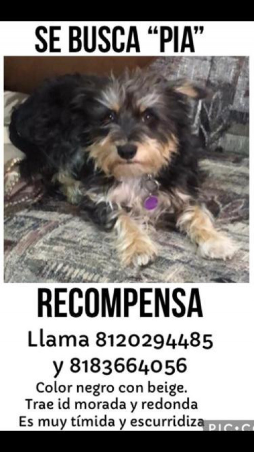 Pia