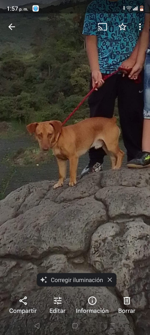 Lukas