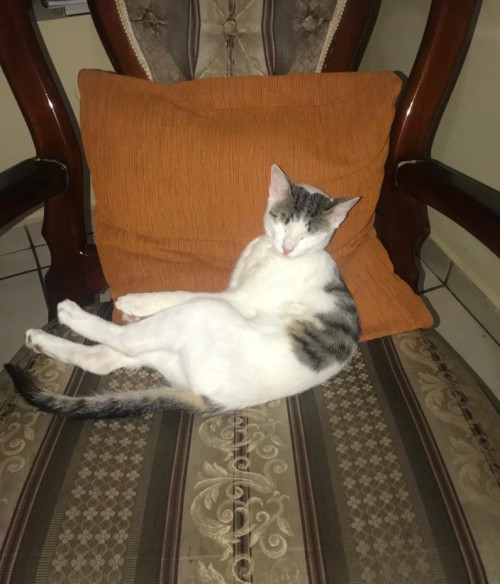 Luna