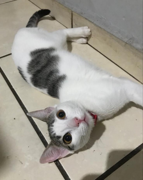 Luna