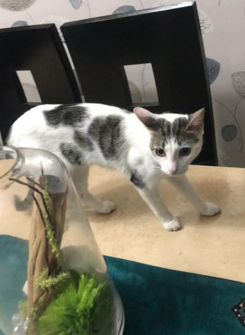 Luna