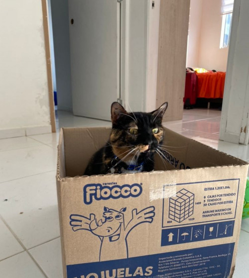 Dulce