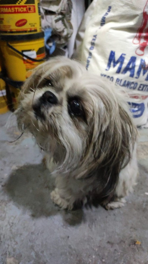 Lupita