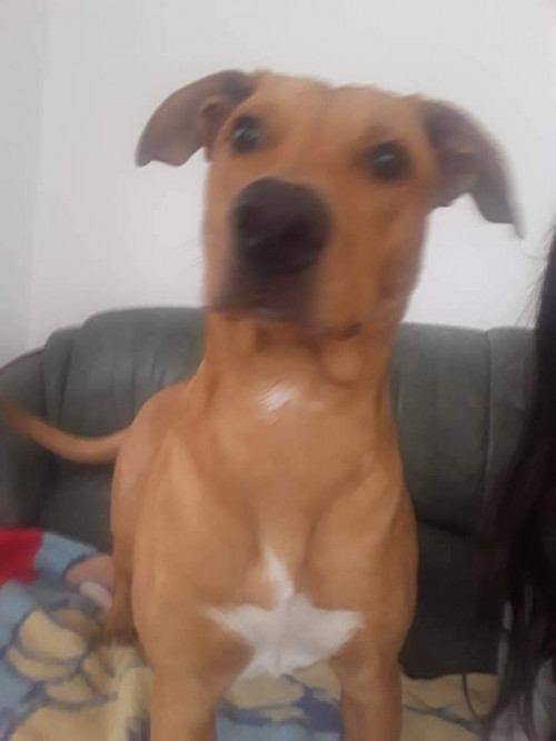 Athena