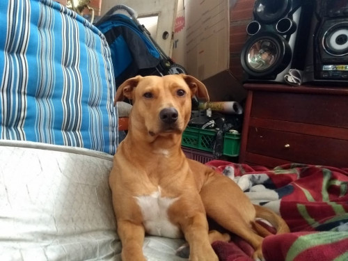 Athena