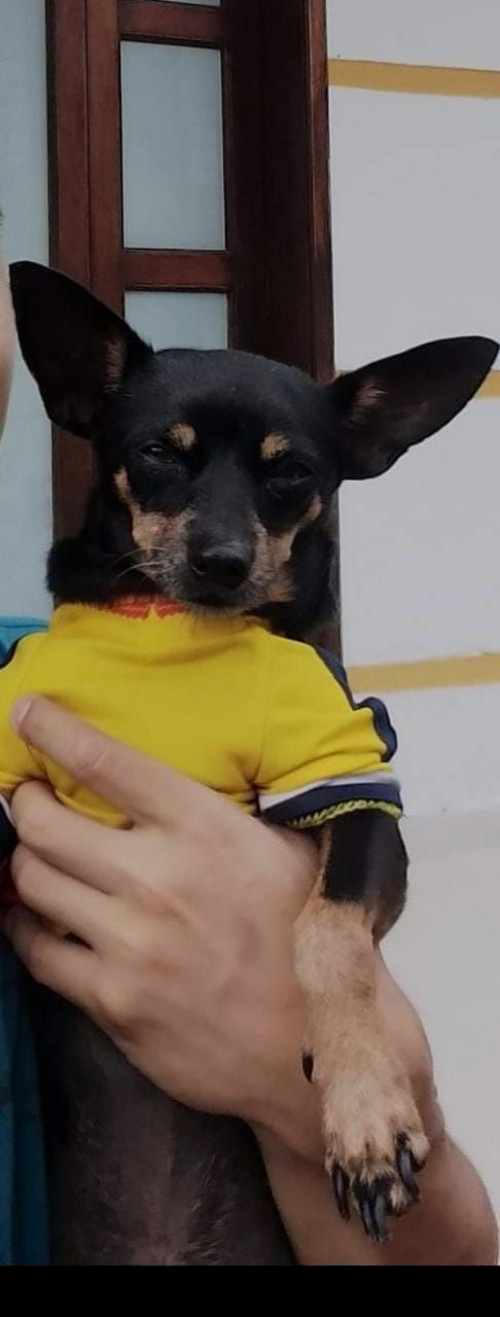 Katia