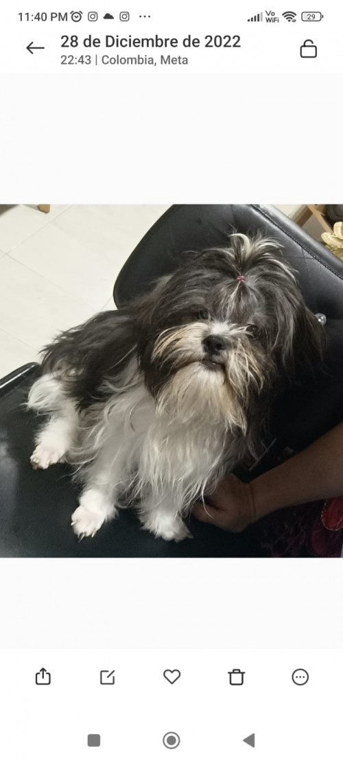 Luki