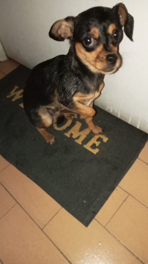 Zeus