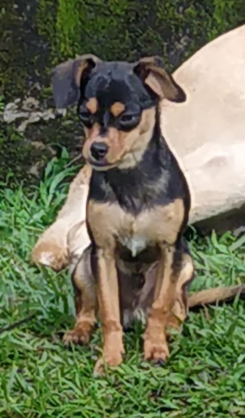 Zeus