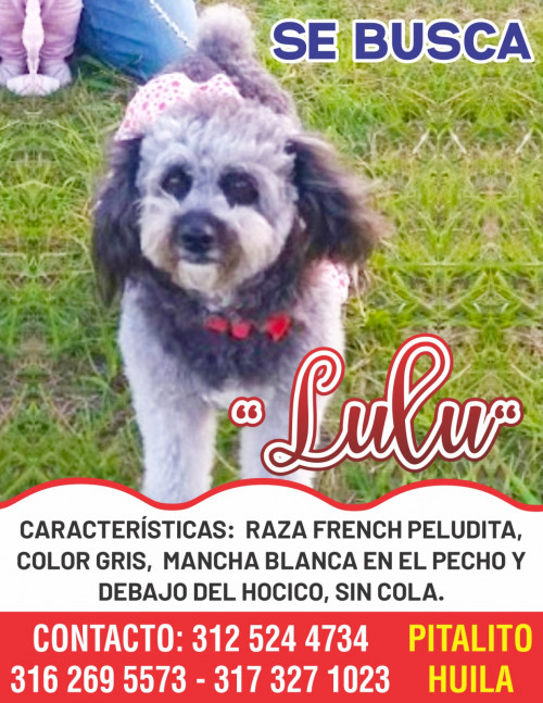 Lulú