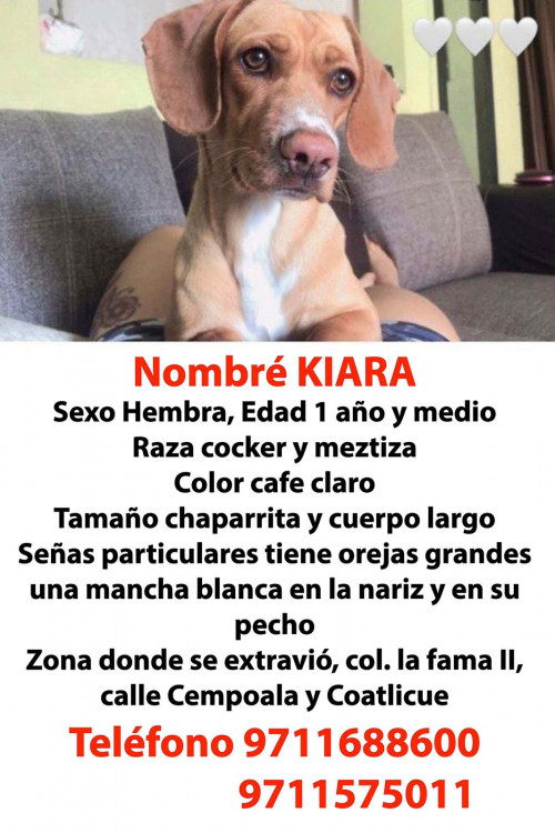 Kiara