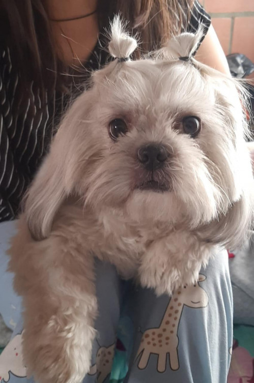 Princesa