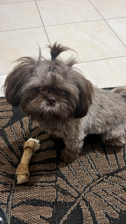 Zeus