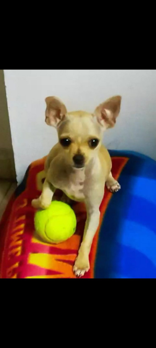 Winny