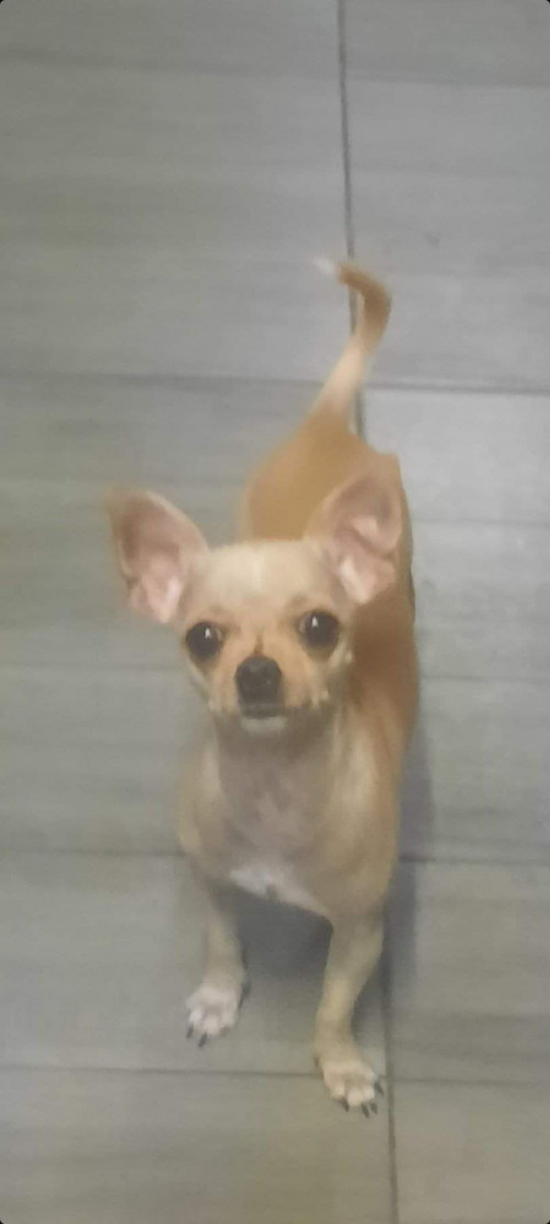 Winny