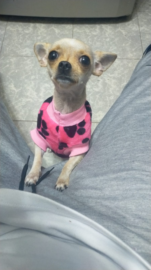Winny