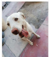 Foto de Oshe en Hermosillo Sonora #1