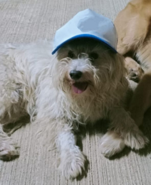 Muñeco