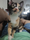 Foto de Nami en Culiacán Sinaloa #5