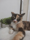 Foto de Nami en Culiacán Sinaloa #2