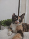Foto de Nami en Culiacán Sinaloa #0