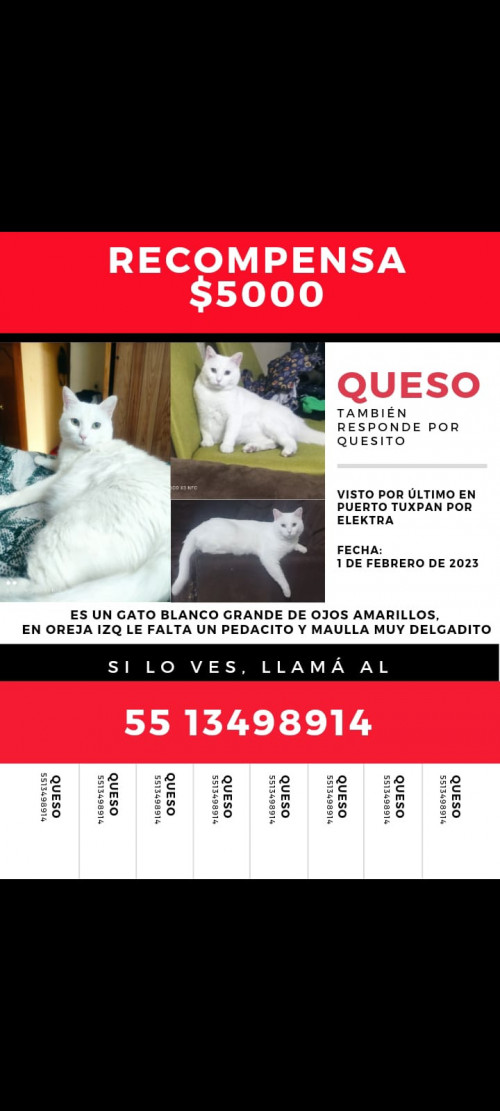 Queso