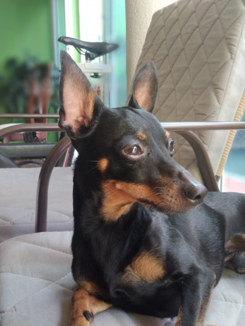 Rocky
